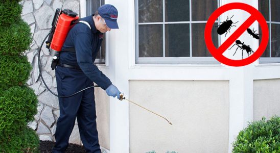 Yusufeli Uçan Haşere İlaçlama böcek ilaçlama ve haşere kontrolü — ilaclama-tr.com